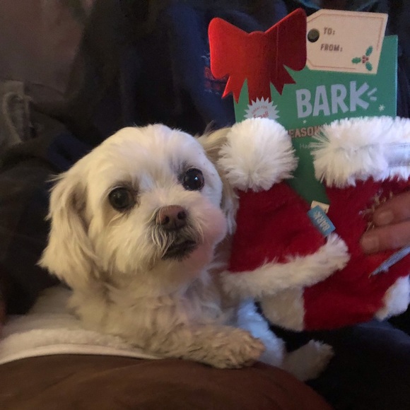 Meet your Posher, Deborah  posh ambassador - Picture 1 of 5